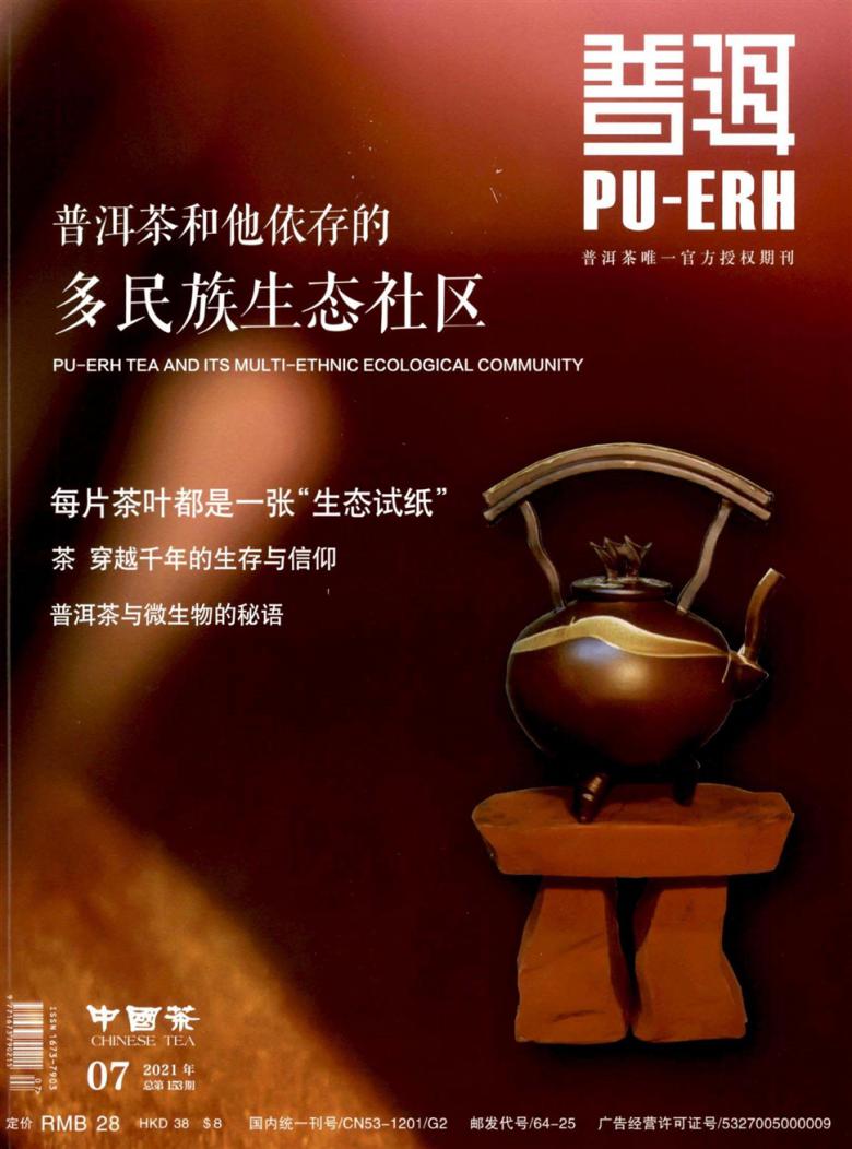 普洱封面
