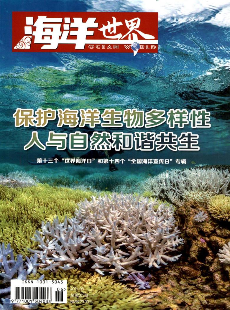 海洋世界封面
